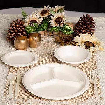 Biodegradable Plates and Silverware